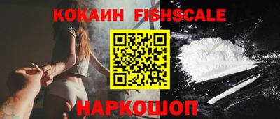 индика Можга