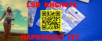 индика Можга