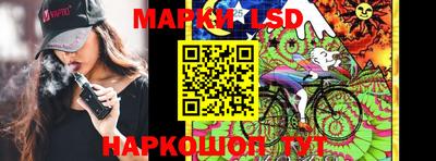 индика Можга