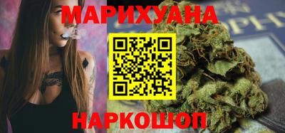 индика Можга