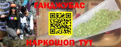 индика Можга