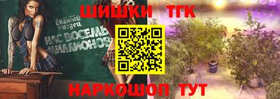 индика Можга