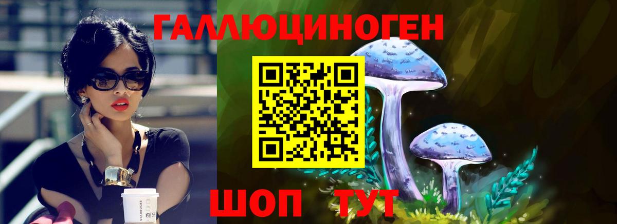 Нарьян-Мар  Псилоцибиновые грибы MAGIC MUSHROOMS  Вход с VPN 